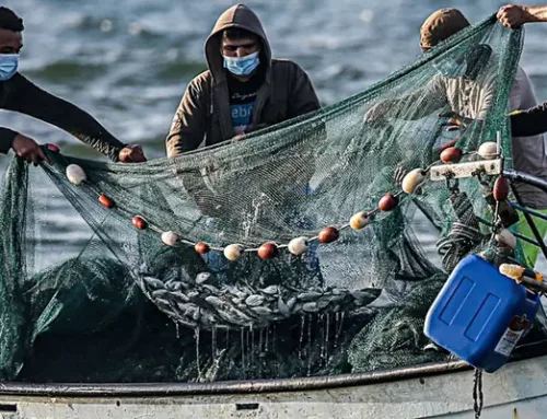 Penggunaan Es untuk Menyimpan Hasil Tangkapan Ikan